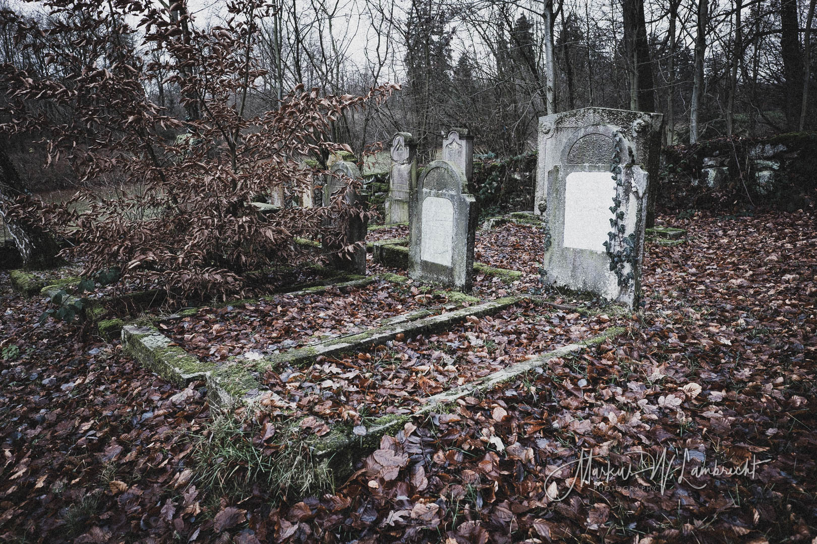 Sievershausen (Dassel)